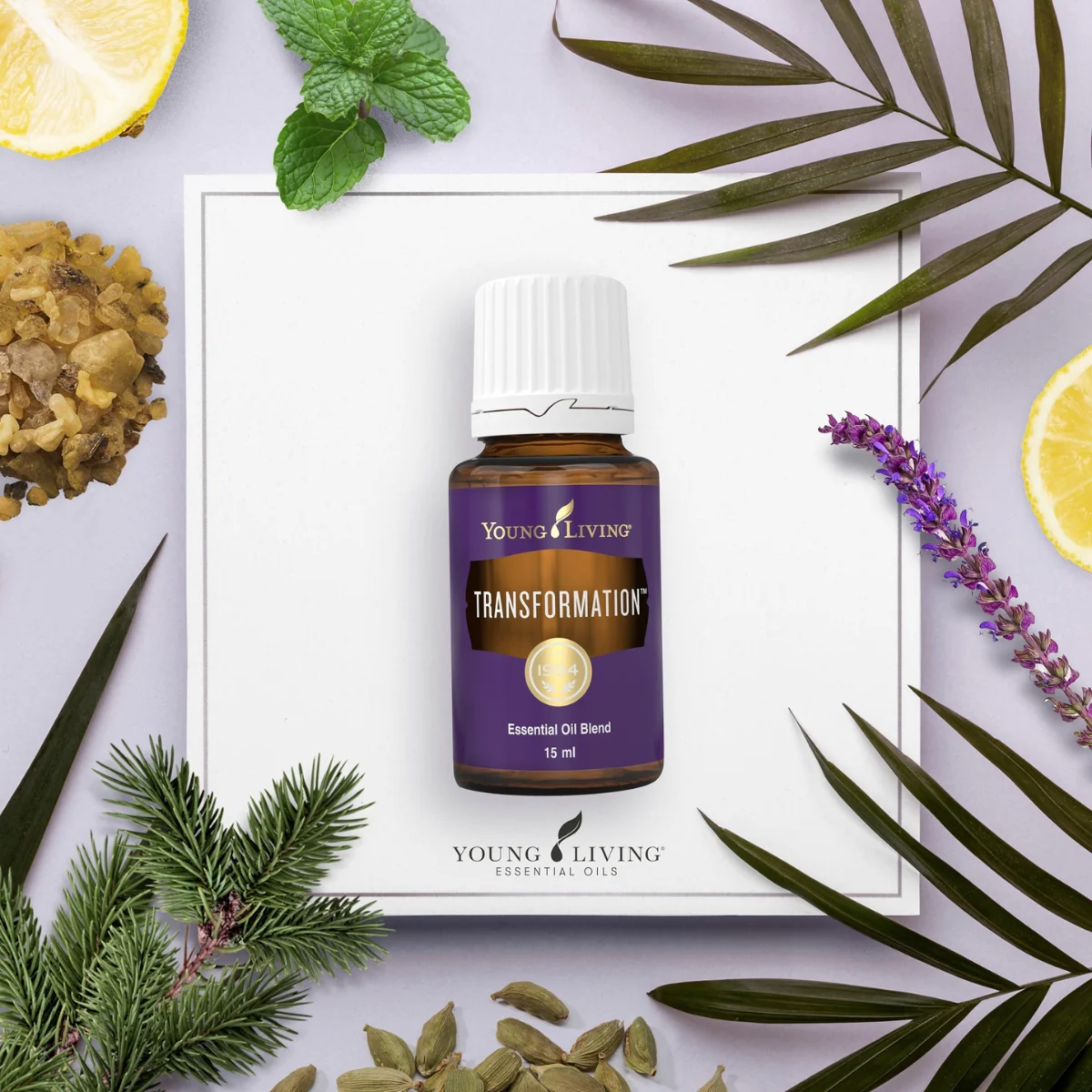 Transformation Essential Oil — imagen 4