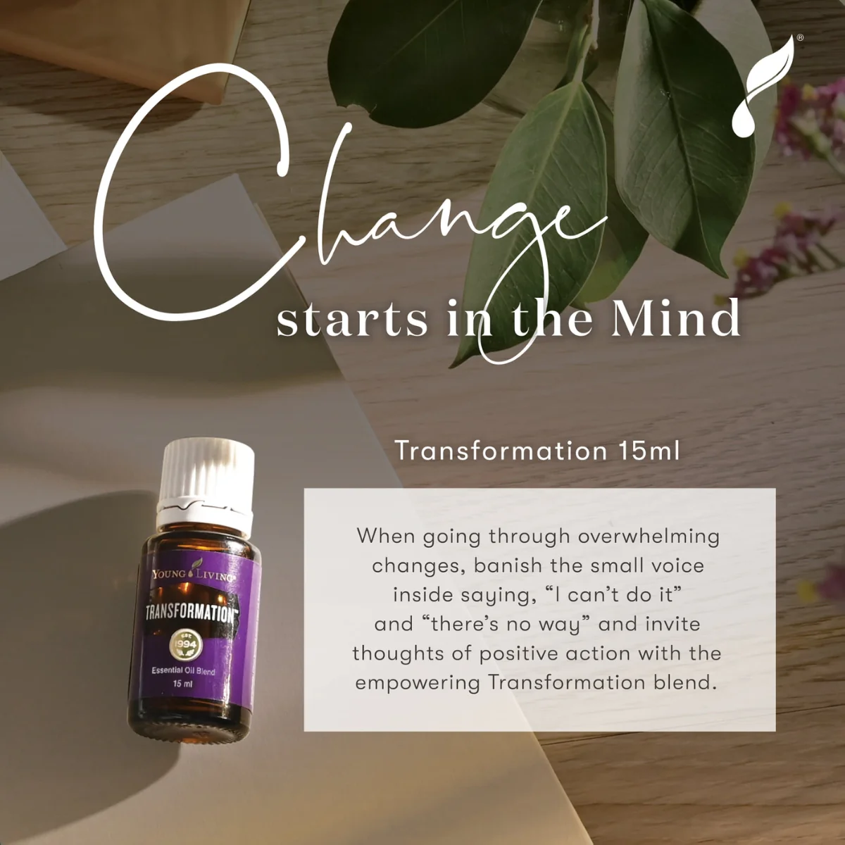 Transformation Essential Oil — imagen 6