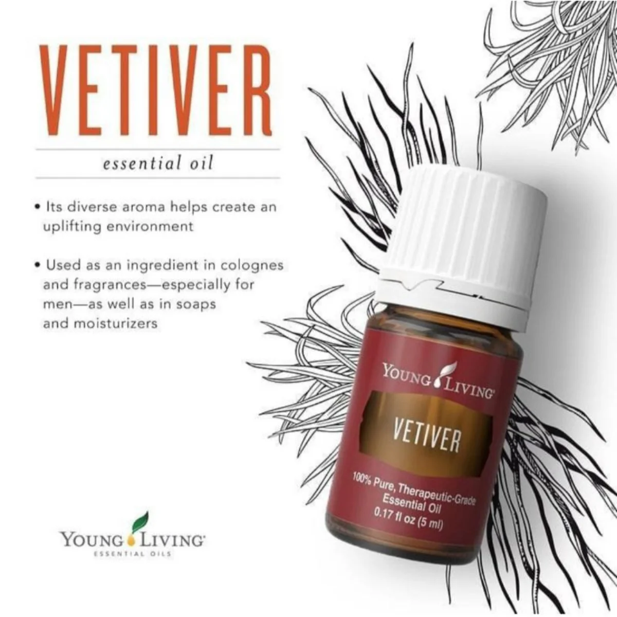 Aceite Esencial de Vetiver — imagen 2