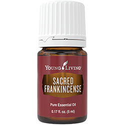 Sacred Frankincense
