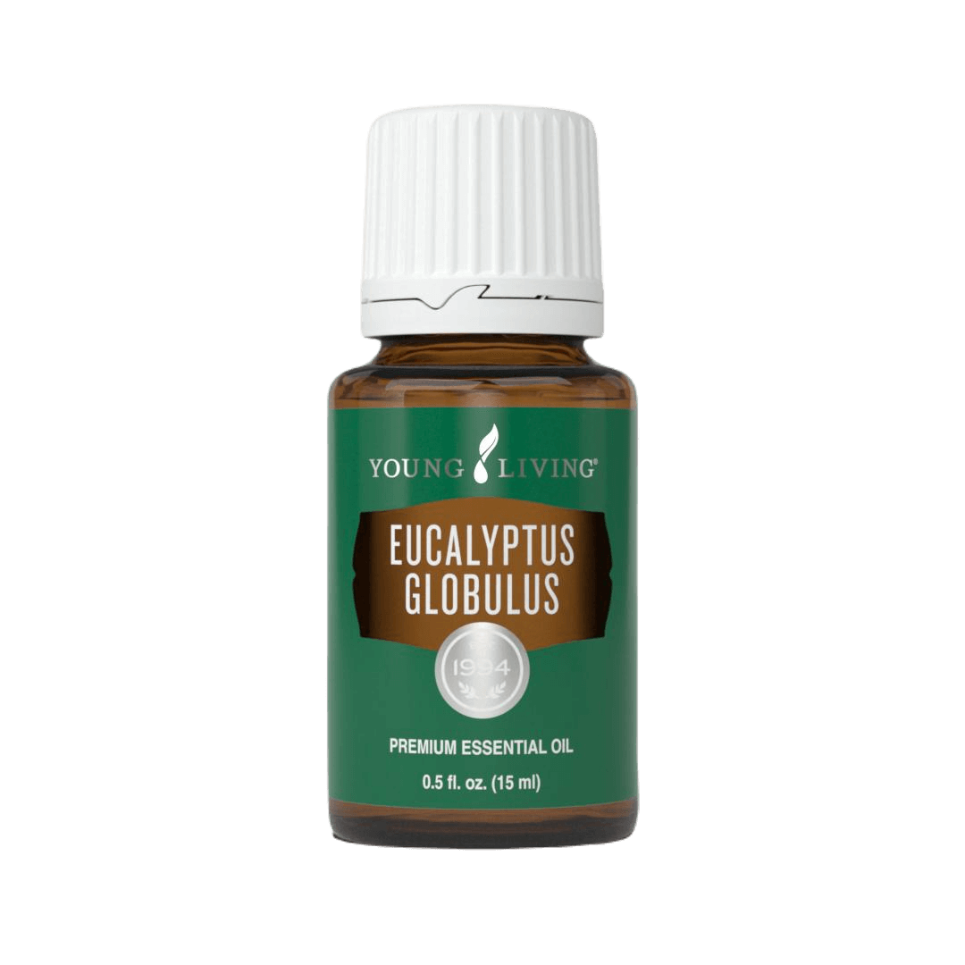 Eucalyptus Globulus