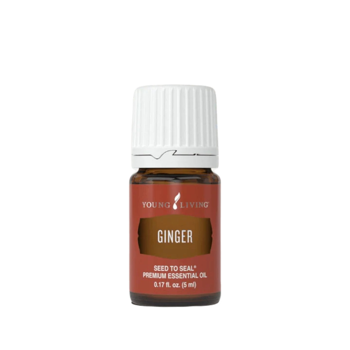 Ginger+