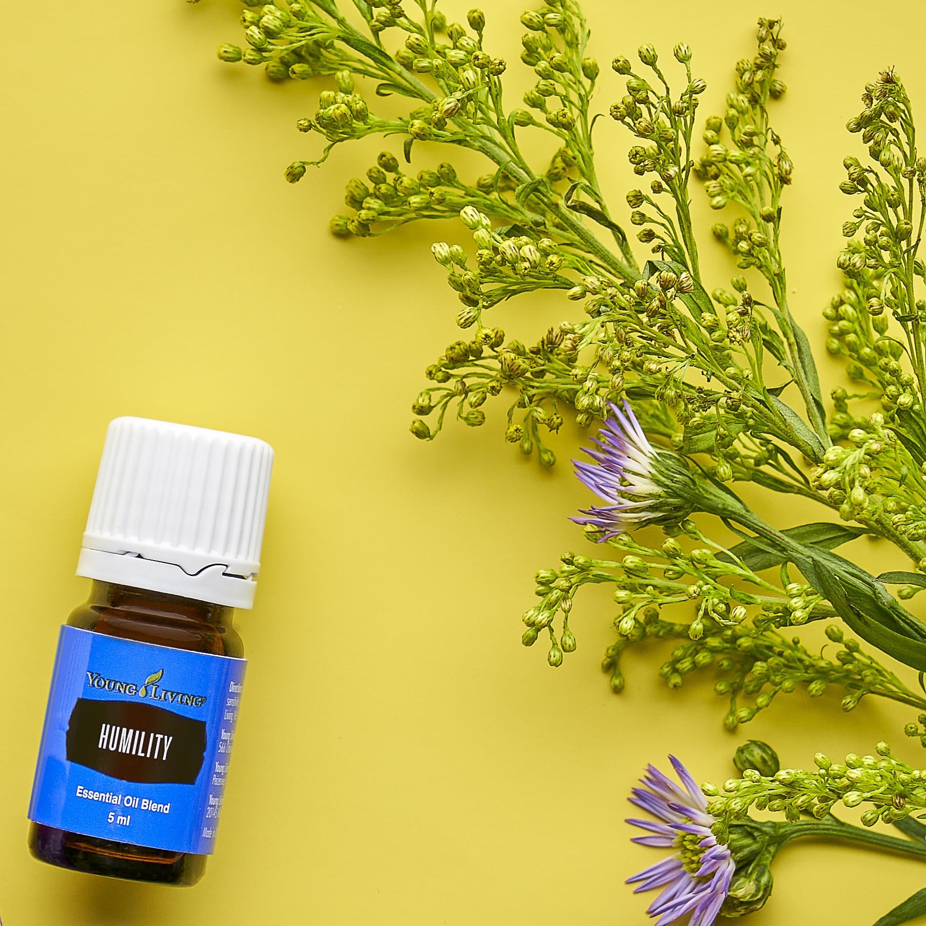 Young Living - Humility