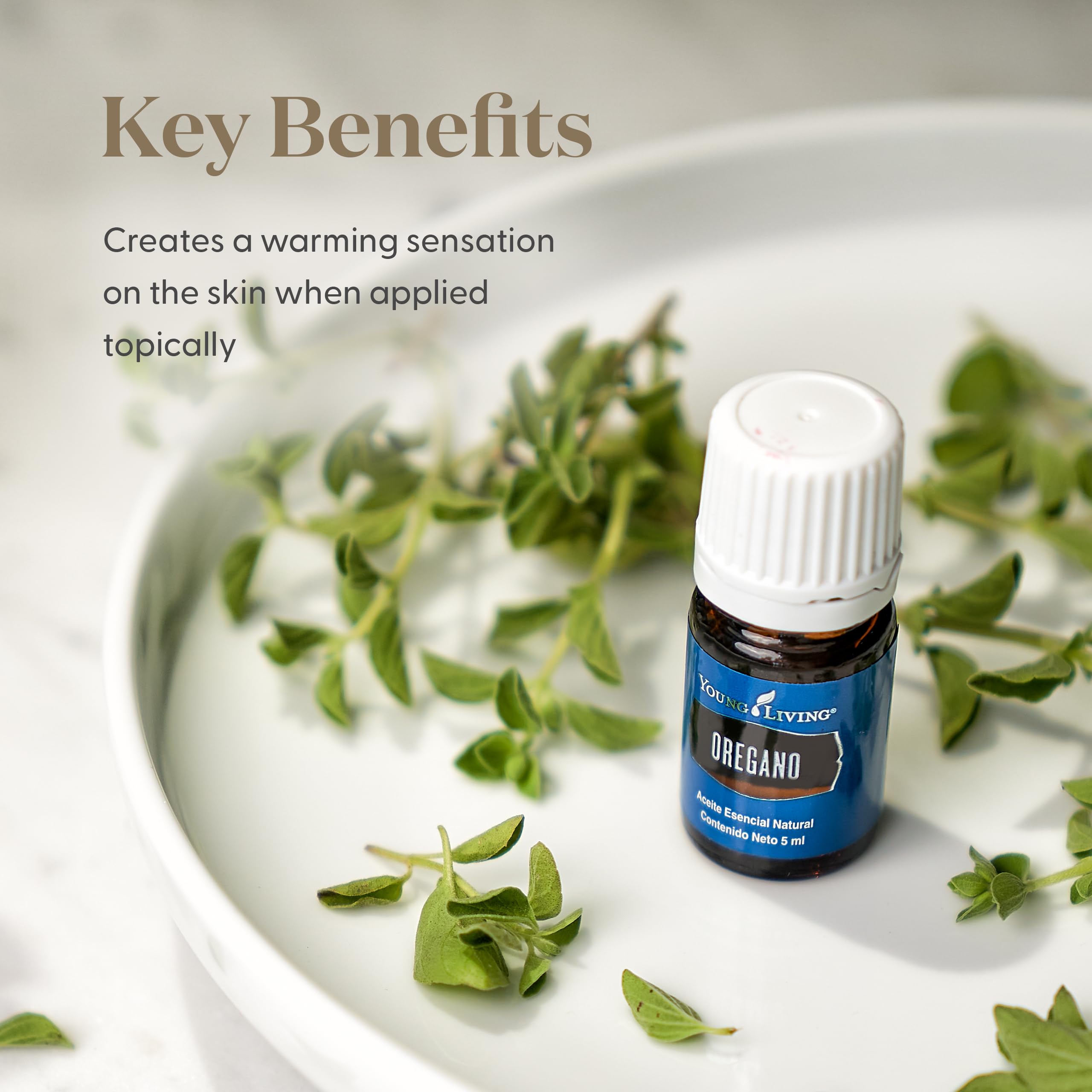 Aceite esencial Oregano