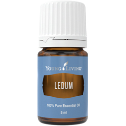 Aceite Esencial de Ledum — imagen 2