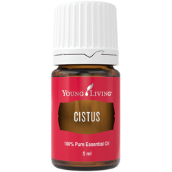 Cistus Essential Oil — imagen 2