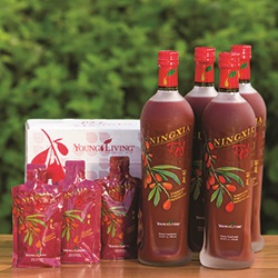 Kit de Recompensas de fidelidad NingXia Red